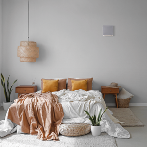 deco_grey_2.png