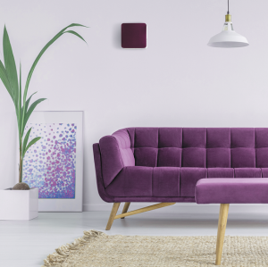 deco_violet_2.png